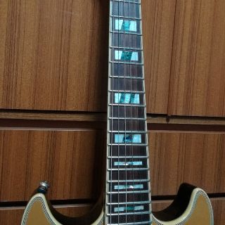 アイバニーズ　IBANEZ　エレキギター　AR250　ゴールドトップ　レスポール