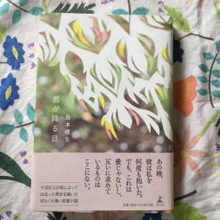 君が降る日　島本理生(文学/小説)