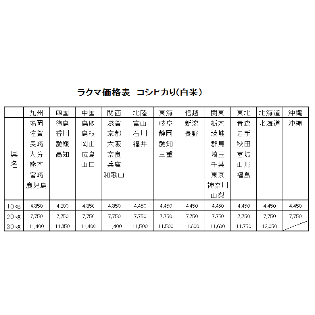 お米 令和元年 愛媛県産コシヒカリ 白米 20㎏ - 米/穀物