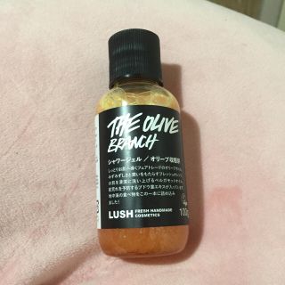 ラッシュ(LUSH)のシャワージェル (シャンプー)