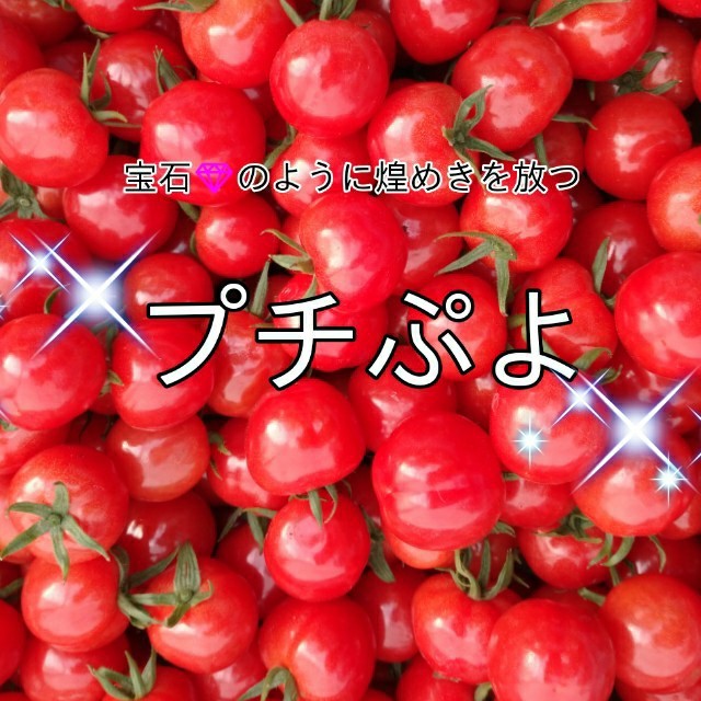 宝石のような煌めきを放つプチぷよ3㎏箱込み★010