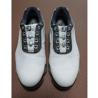 フットジョイ(FootJoy)のフットジョイ XPS-1 24.5cm(シューズ)