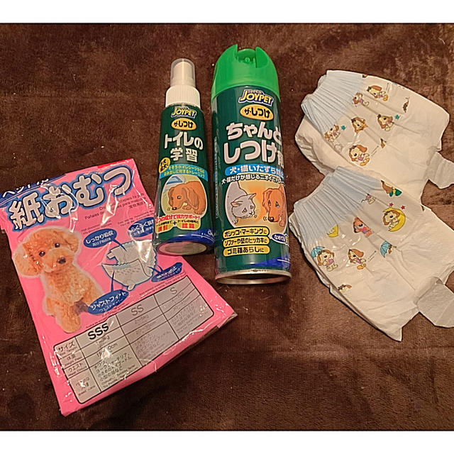 ジョイペット トイレトレーニング その他のペット用品(犬)の商品写真