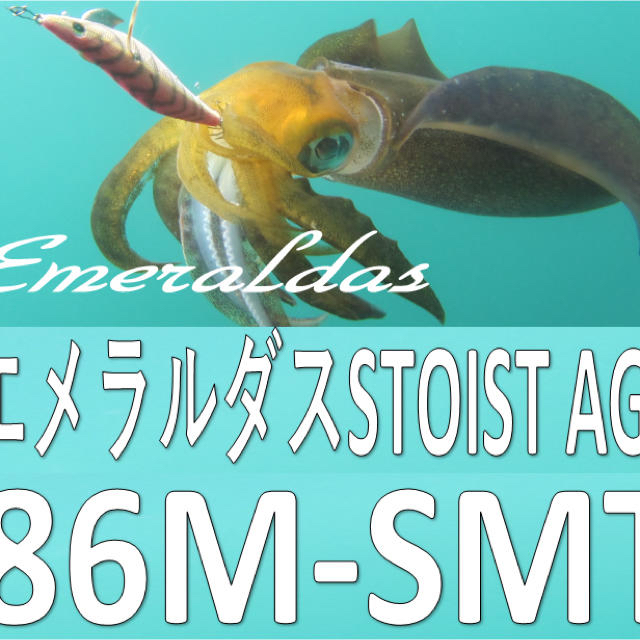 ダイワ　エメラルダスSTOIST AGS86M-SMT