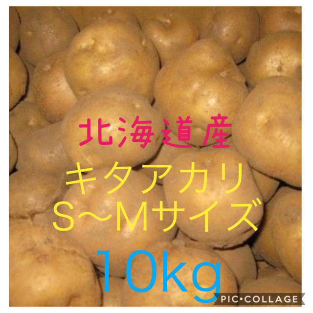 キタアカリ10kg じゃがいも 食品/飲料/酒の食品(野菜)の商品写真