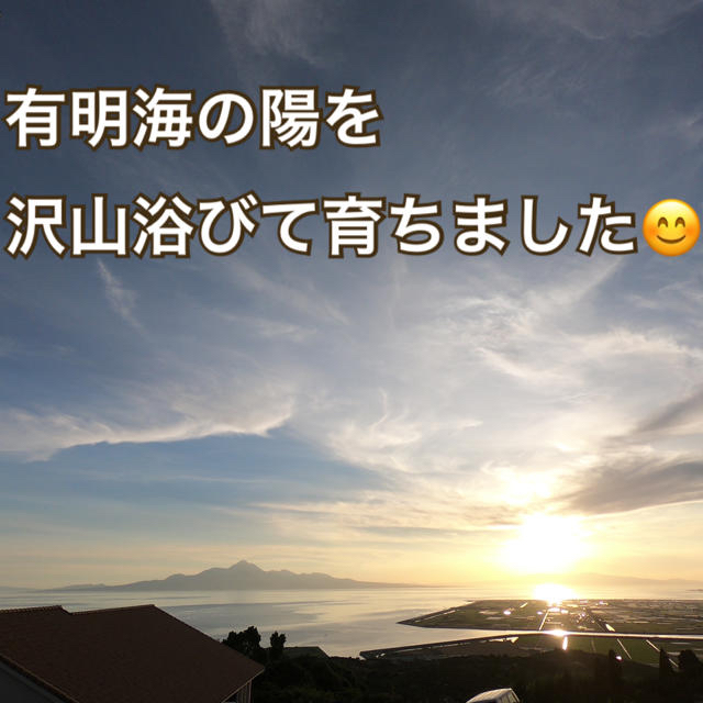 かりん様専用　完熟濃厚ミニトマト  2kg ☆キャロルセブン☆ 農家直送 食品/飲料/酒の食品(野菜)の商品写真