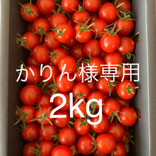 かりん様専用　完熟濃厚ミニトマト  2kg ☆キャロルセブン☆ 農家直送(野菜)