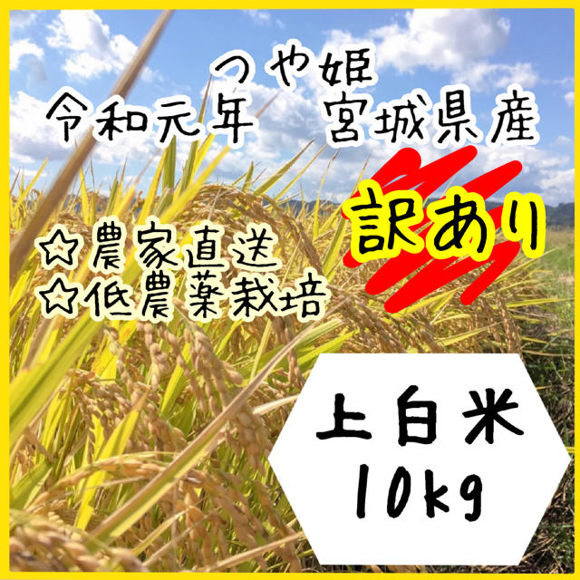 訳あり】即購入OK♪ 宮城県産つや姫 上白米10kg【送料無料】の通販 by ...