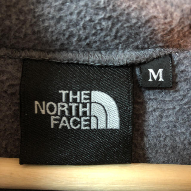 THE NORTH FACE   デナリフーディー