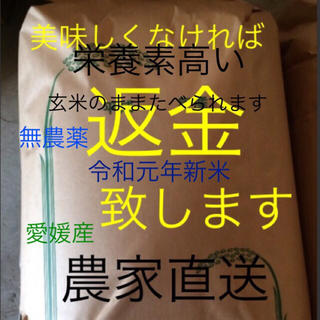 ゆきうさぎ様専用　6日発送　がんちゃん米　無農薬特選こしひかり25㎏ 玄米(米/穀物)