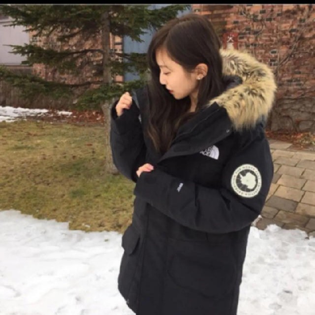 THE NORTH FACE - ノースフェイス アンタークティカパーカの通販 by
