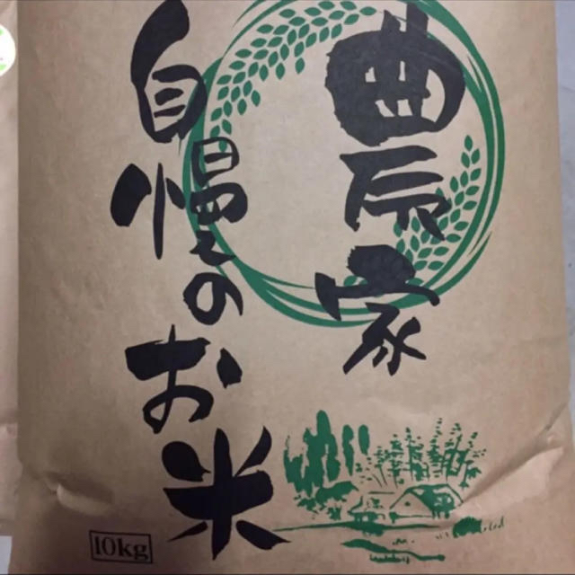 新潟県産コシヒカリ　令和元年　米/穀物