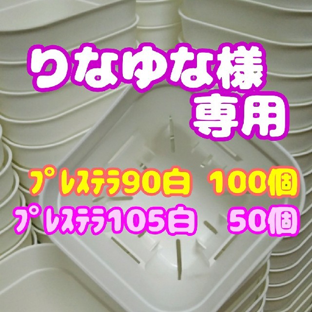 【りなゆな様 専用】【スリット鉢】ﾌﾟﾚｽﾃﾗ90白100個+105白50個 ハンドメイドのフラワー/ガーデン(プランター)の商品写真