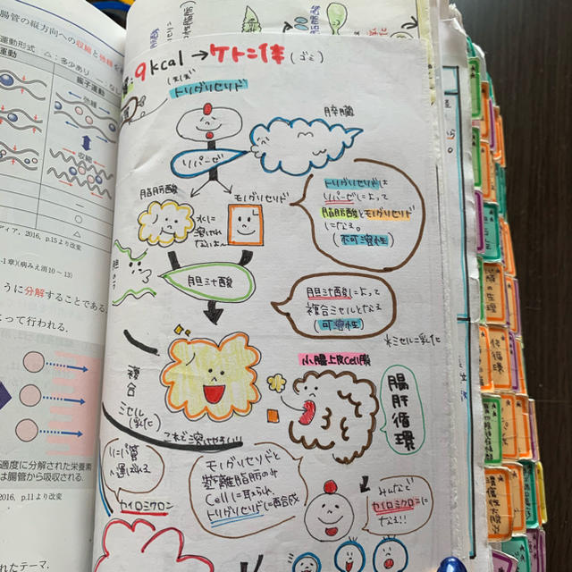 看護師国試対策！！レビューブック エンタメ/ホビーの本(語学/参考書)の商品写真