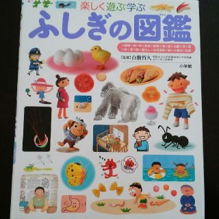 ショウガクカン(小学館)のふしぎの図鑑 楽しく遊ぶ学ぶ　新品同様(絵本/児童書)