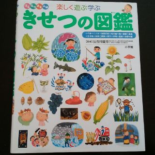 ショウガクカン(小学館)の新品同様　きせつの図鑑 はるなつあきふゆ楽しく遊ぶ学ぶ(絵本/児童書)