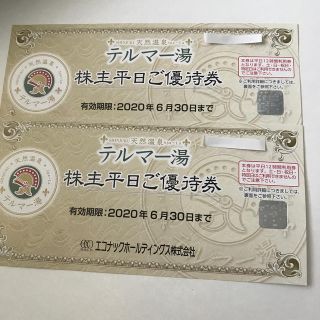 テルマー湯（株主平日ご優待券）(その他)
