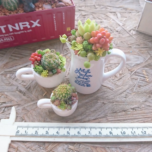 ドキンちゃん様  専用  多肉植物  寄せ植え ハンドメイドのフラワー/ガーデン(その他)の商品写真