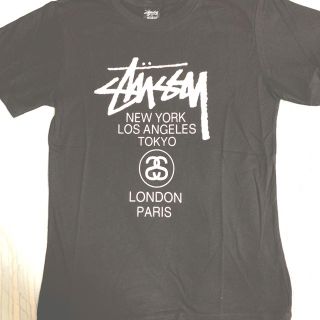 ステューシー(STUSSY)の専用(Tシャツ/カットソー(半袖/袖なし))