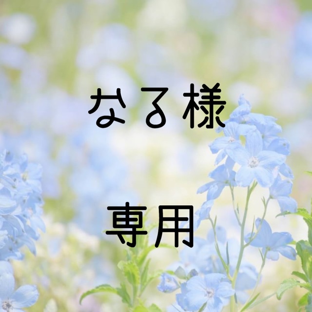 なる様専用 お米　令和元年　愛媛県産キヌヒカリ　白米　30㎏