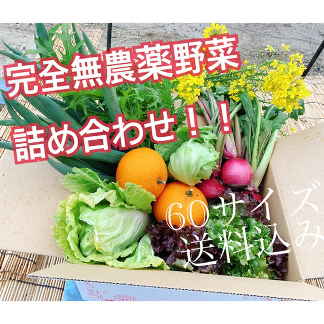 無農薬野菜詰め合わせ(期間限定お値下げ！) 食品/飲料/酒の食品(野菜)の商品写真