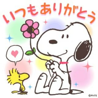 ＊びばるぅ様専用＊ページ(菓子/デザート)