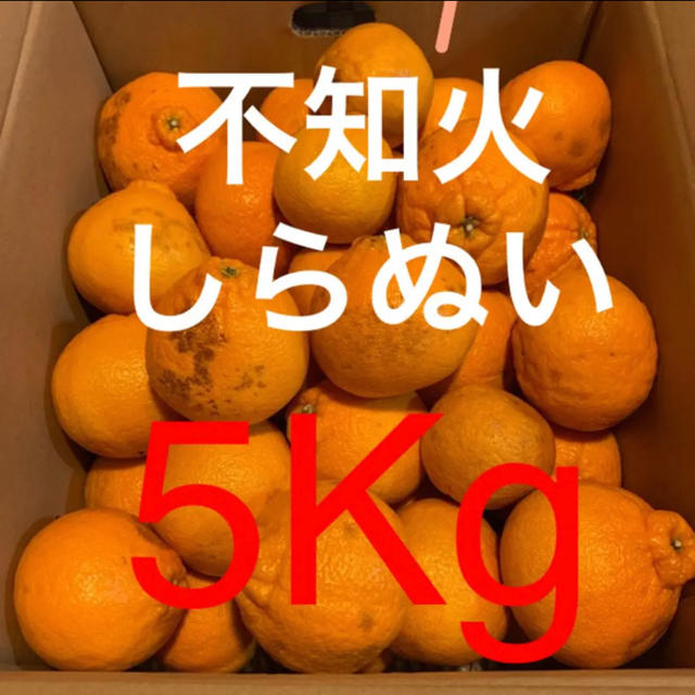 和歌山県 訳あり傷あり不知火(しらぬい)約5Kg 食品/飲料/酒の食品(フルーツ)の商品写真