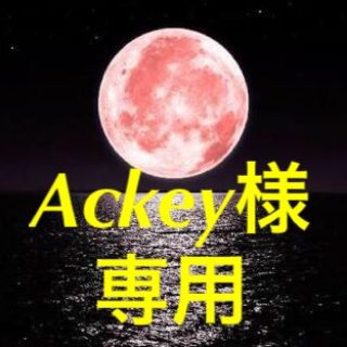 エプソン(EPSON)のAckey様　専用(その他)