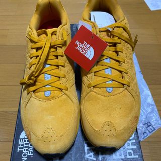 ザノースフェイス(THE NORTH FACE)のthe north face スニーカー　新品　27.5(スニーカー)