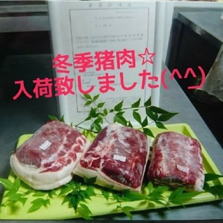 鹿児島県産☆天然猪肉１㎏(肉)
