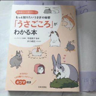 うさごころがわかる本 飼育本 漫画(趣味/スポーツ/実用)