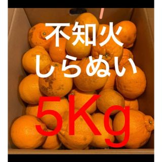 和歌山県 訳あり傷あり不知火(しらぬい)約5Kg(フルーツ)