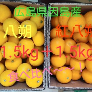 八朔　食べ比べ　3kg(フルーツ)