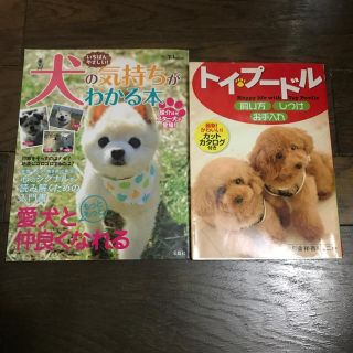 タカラジマシャ(宝島社)のいちばんやさしい！犬の気持ちがわかる本のみ(住まい/暮らし/子育て)