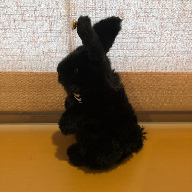 Francfranc(フランフラン)のFrancfranc うさぎ　ぬいぐるみ エンタメ/ホビーのおもちゃ/ぬいぐるみ(ぬいぐるみ)の商品写真