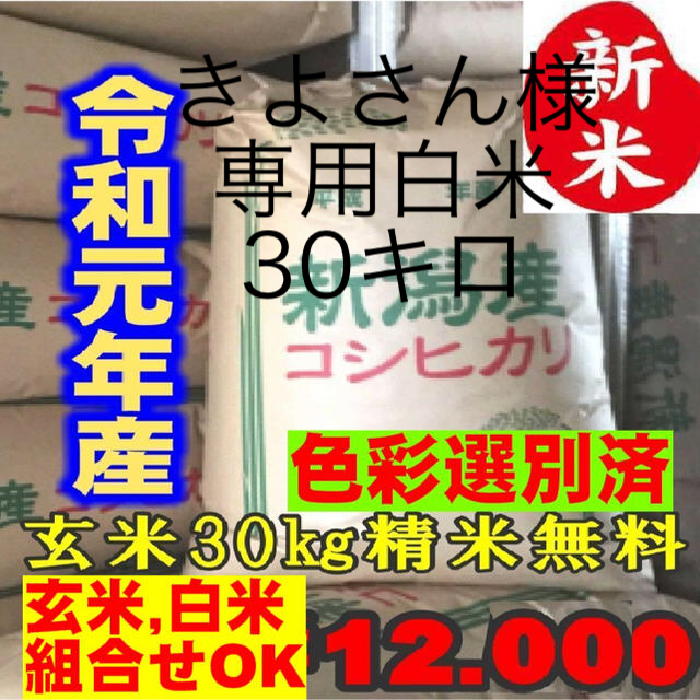 ミルキークイーン 真空パック 小分け 令和５年度 農家直送 保存 10kg