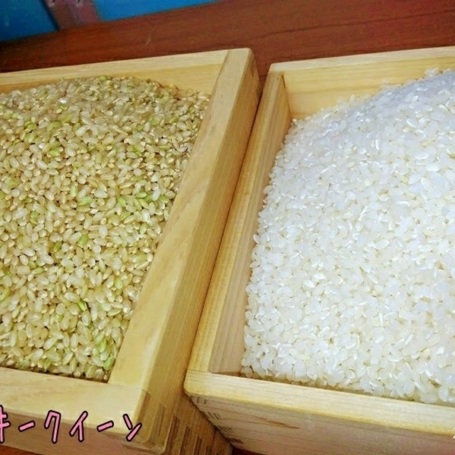 Ｒ１年岐阜県東白川産ミルキークイーン玄米20kg【精米無料でします】　米/穀物
