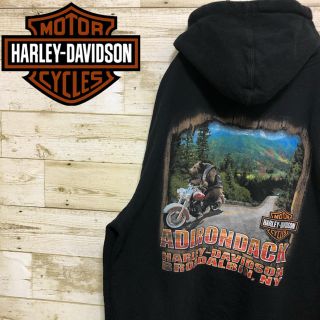 ハーレーダビッドソン(Harley Davidson)のハーレーダビッドソン☆ビッグプリント 袖ラインロゴ スウェット パーカー(パーカー)