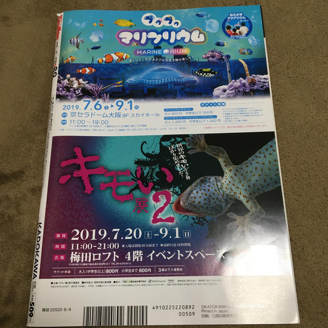 角川書店(カドカワショテン)の関西Walker (ウォーカー) 2019年 8/9号 エンタメ/ホビーの雑誌(ニュース/総合)の商品写真