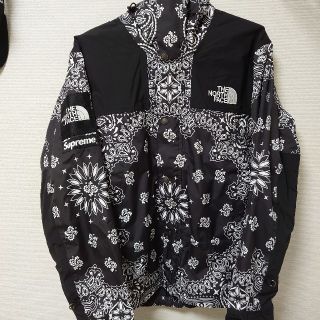 シュプリーム(Supreme)のSupreme The North Face  Mountain Jacket(マウンテンパーカー)