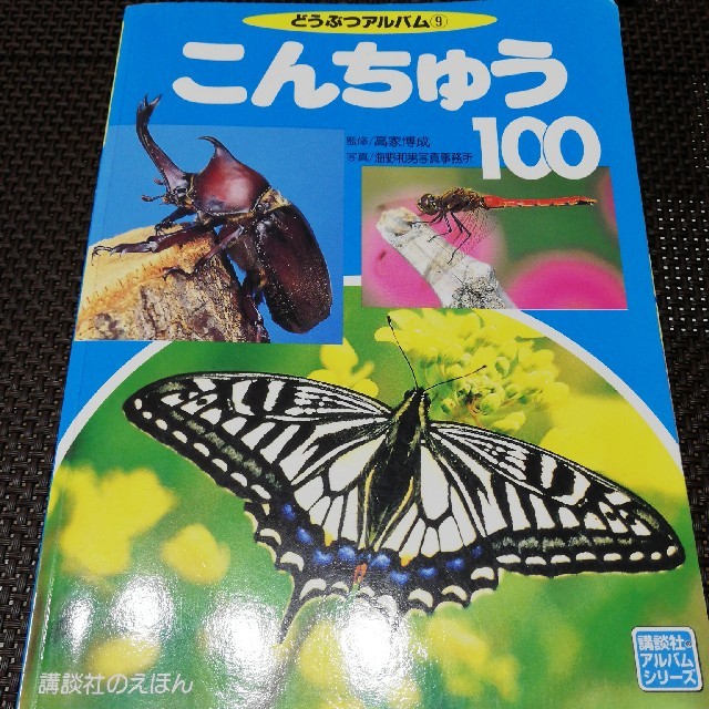 こんちゅう１００ エンタメ/ホビーの本(絵本/児童書)の商品写真