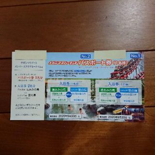 【ラクマパック送料無料】ナガシマスパーランド パスポート券(遊園地/テーマパーク)