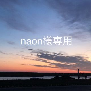 naon様専用☆大30+小20個(その他)