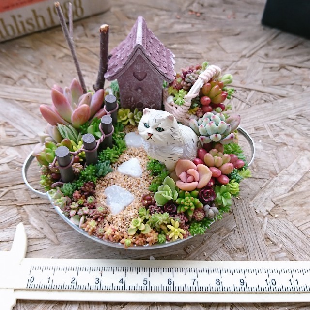 はるか様 専用 多肉植物寄せ植え ハンドメイドのフラワー/ガーデン(その他)の商品写真