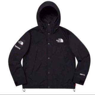 シュプリーム(Supreme)のSサイズTheNorthFace Arc Logo Mountain Parka(マウンテンパーカー)