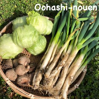 大橋農園 ３種類 野菜詰め合わせ(野菜)