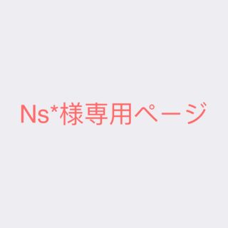 Ns*様専用ページ(その他)