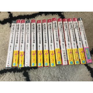 (仮)花嫁のやんごとなき事情 文庫全巻セット(全巻セット)