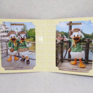 ディズニー(Disney)のディズニーランド ウッドチャック ドナルド デイジー 写真  台紙(写真)