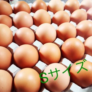 ⭐︎特価⭐︎平飼い　ちび卵Sサイズ10個入り2パック+6個おまけ(野菜)